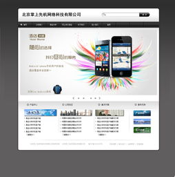 第一版網站設計 信息系統(tǒng)集成