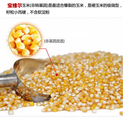 爆米花玉米原料市場與加工設(shè)備全解析